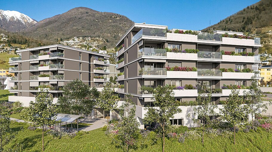 PAT - Residenza Hedera, Tenero-Contra TI